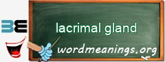 WordMeaning blackboard for lacrimal gland